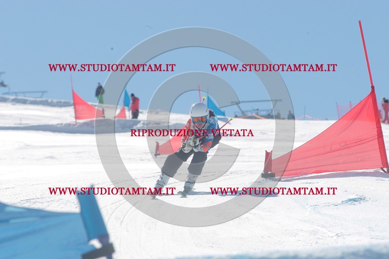 IMGB0219.JPG