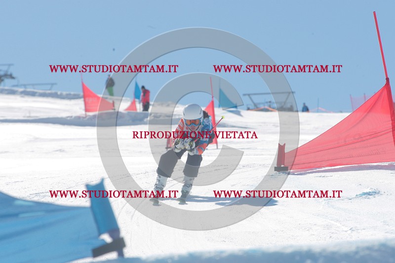 IMGB0220.JPG