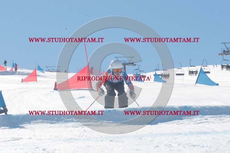 IMGB0221.JPG