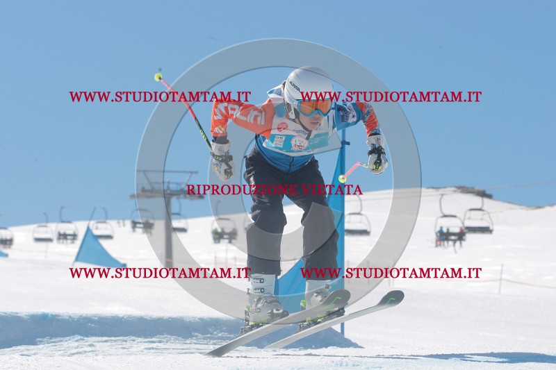 IMGB0225.JPG