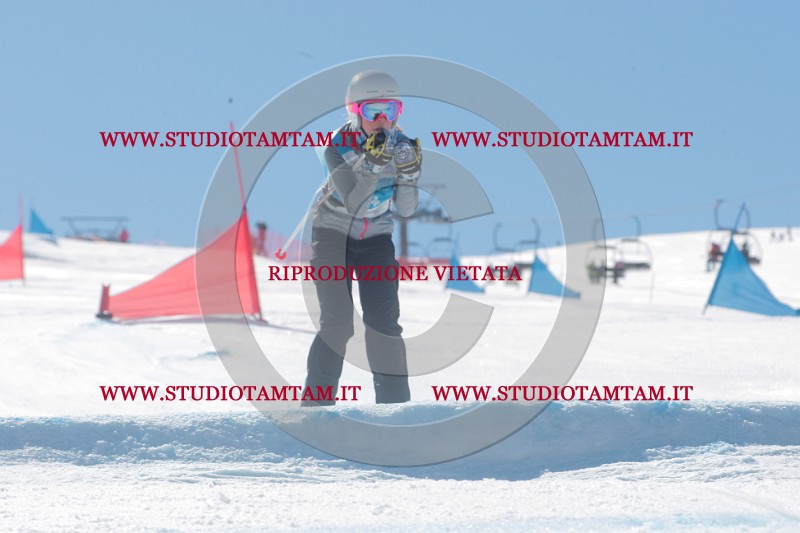 IMGB0230.JPG