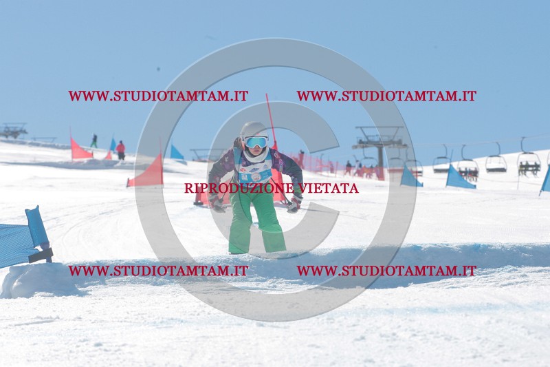 IMGB0302.JPG