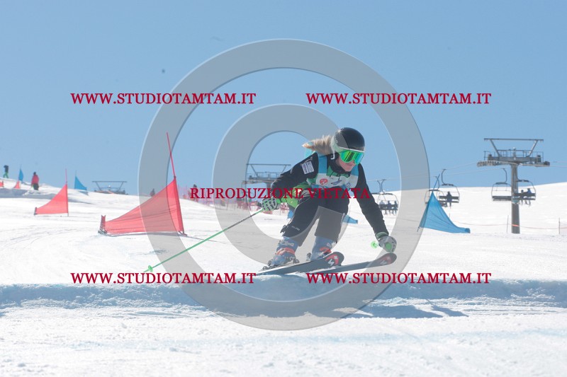 IMGB0365.JPG
