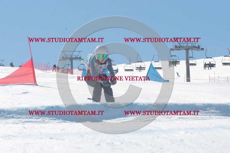IMGB0398.JPG