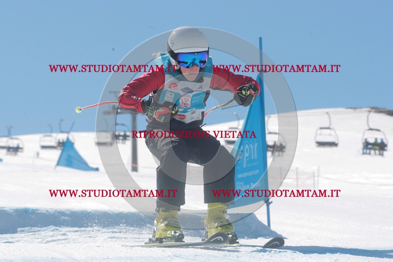 IMGB0443.JPG