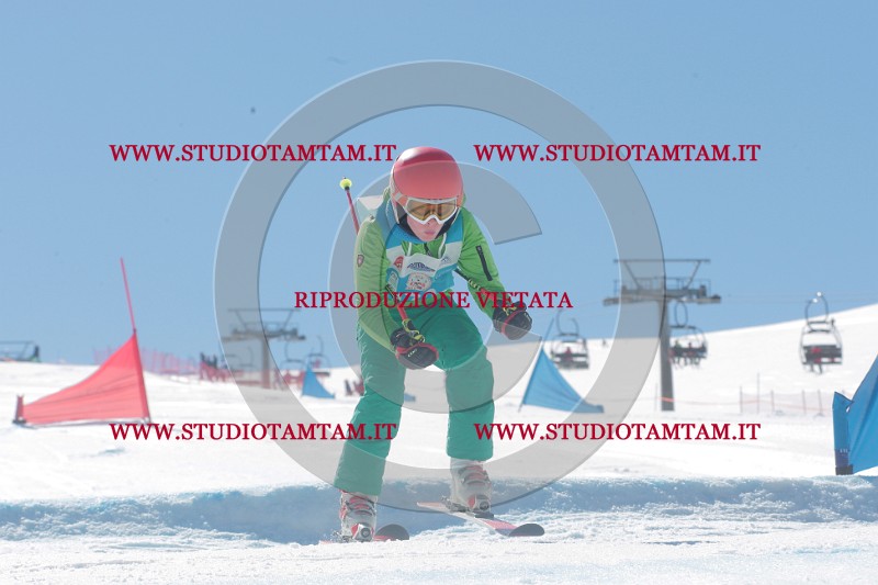 IMGB0505.JPG