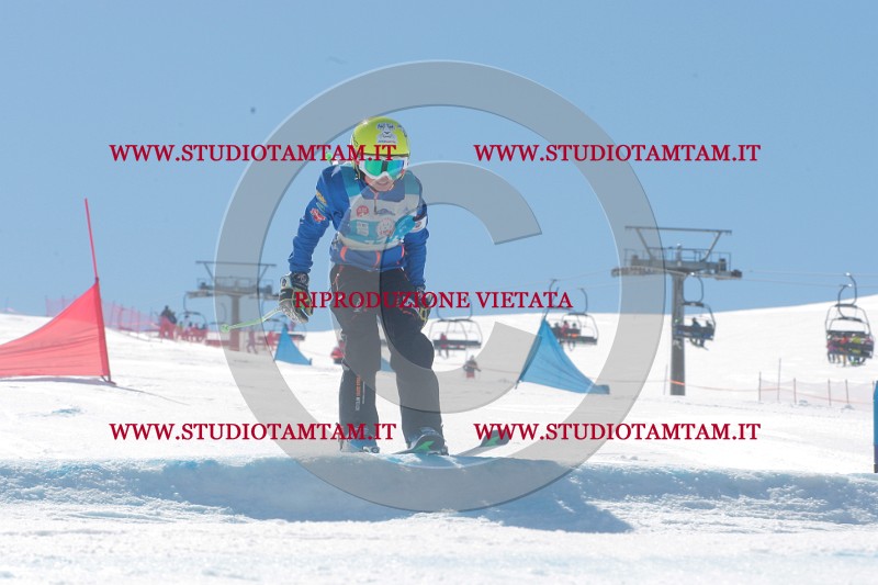 IMGB0514.JPG