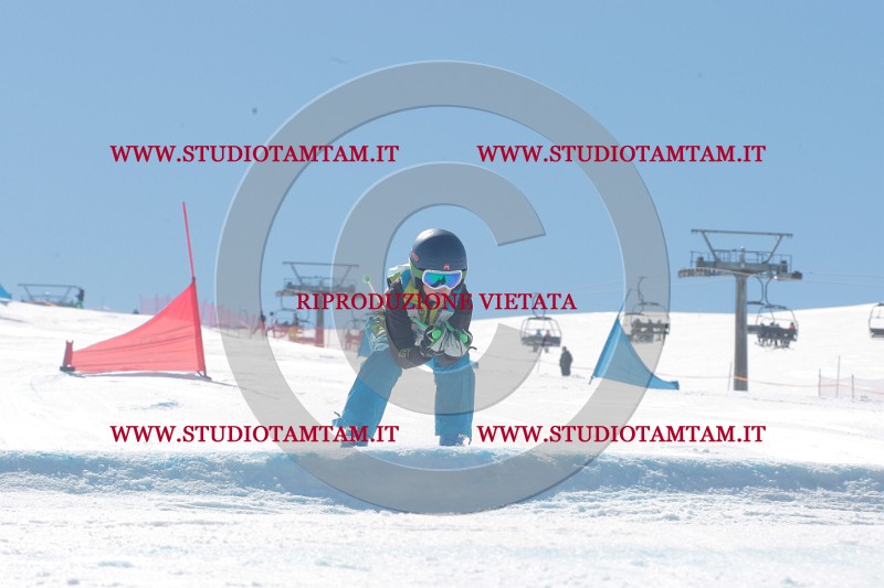 IMGB0552.JPG