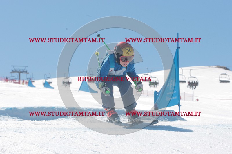 IMGB0563.JPG