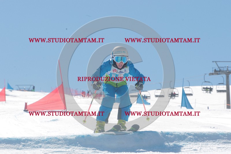 IMGB0677.JPG