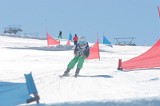 IMGB0300