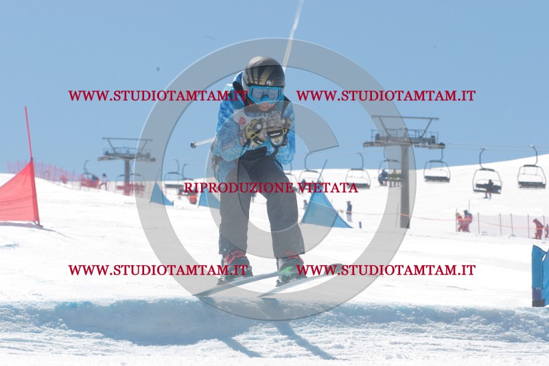 IMGB0752.JPG