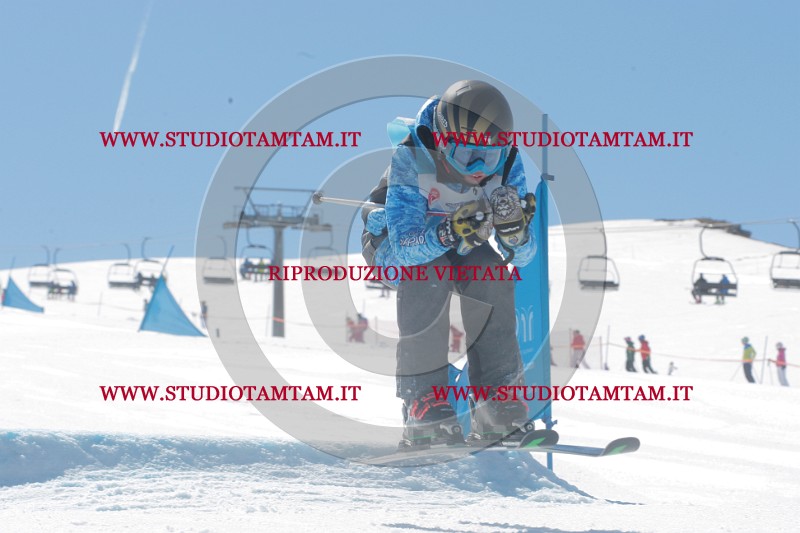 IMGB0754.JPG
