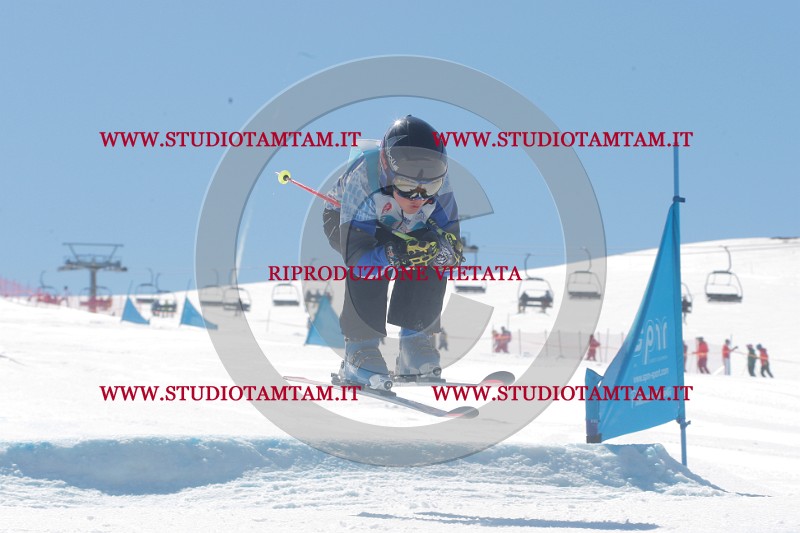 IMGB0762.JPG