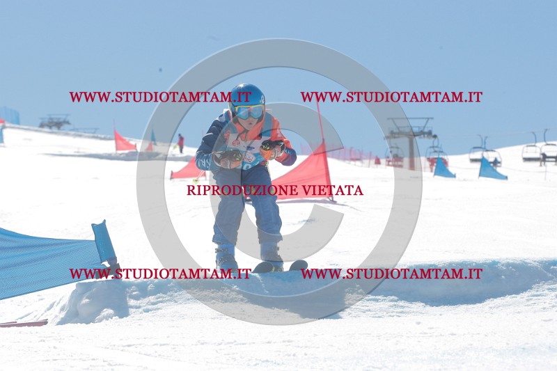 IMGB0767.JPG
