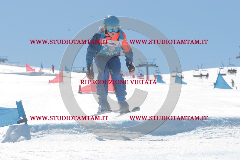 IMGB0768.JPG