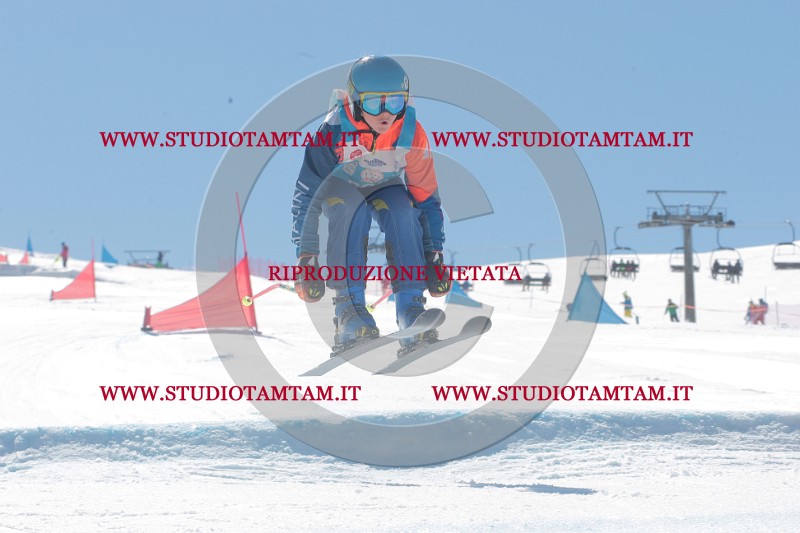 IMGB0769.JPG