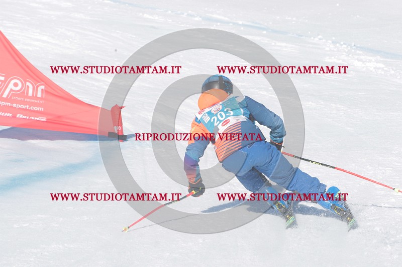IMGB0771.JPG