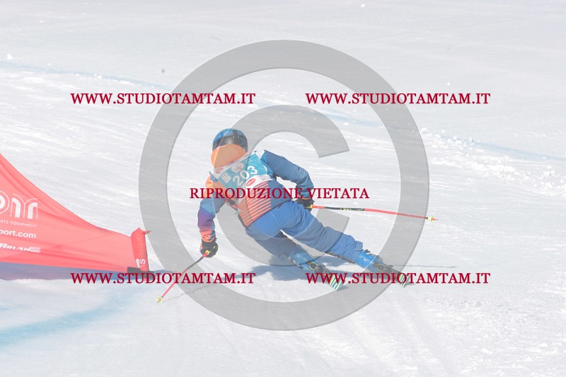 IMGB0773.JPG