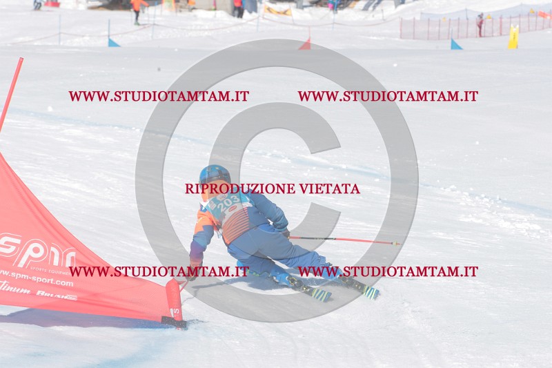 IMGB0774.JPG