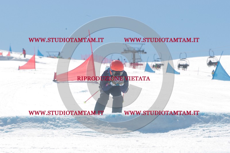 IMGB0775.JPG