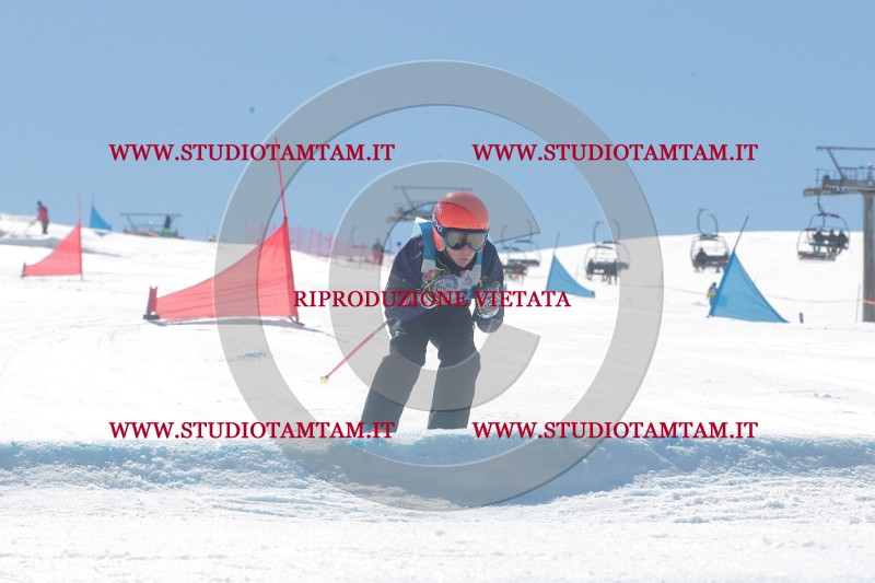 IMGB0776.JPG