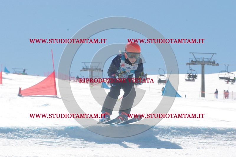 IMGB0777.JPG