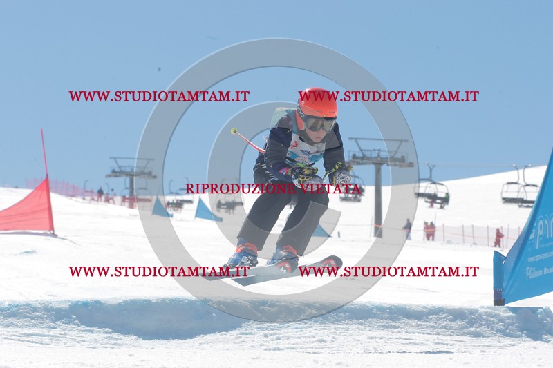 IMGB0778.JPG