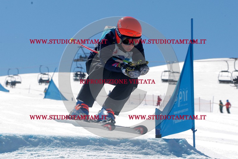 IMGB0779.jpg