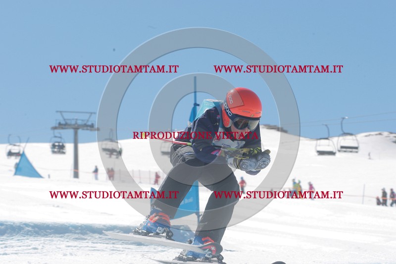 IMGB0780.JPG