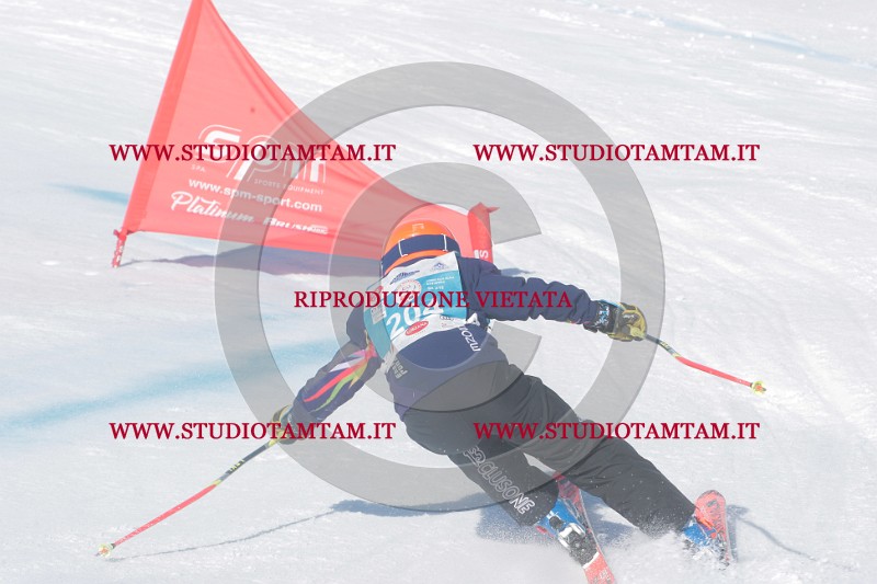 IMGB0781.JPG