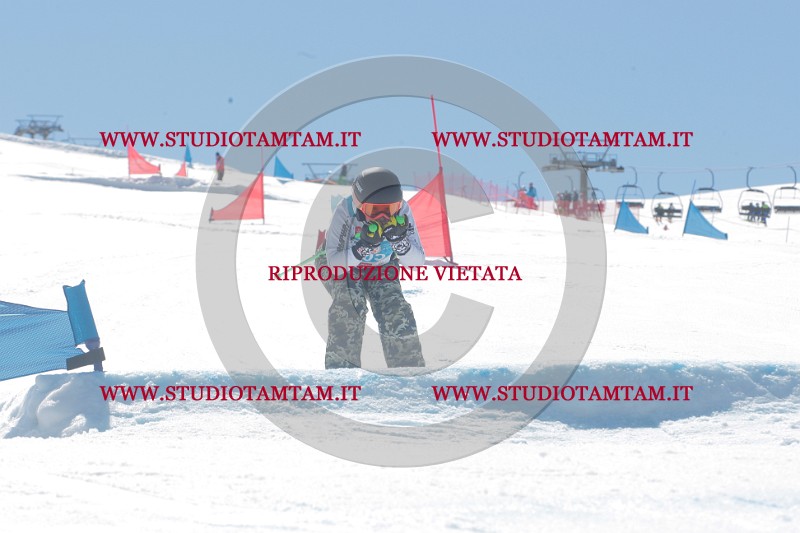 IMGB0786.JPG