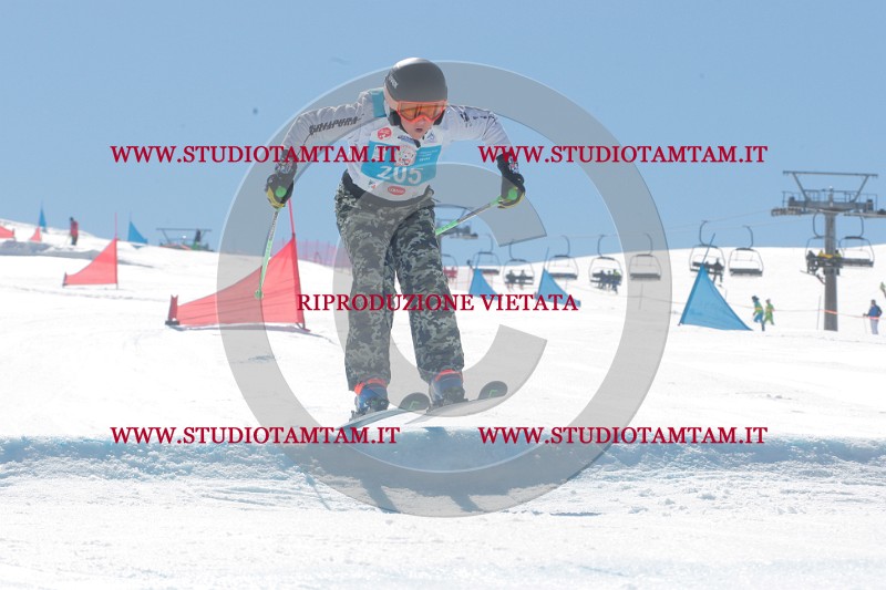 IMGB0788.JPG