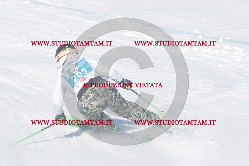 IMGB0791.JPG