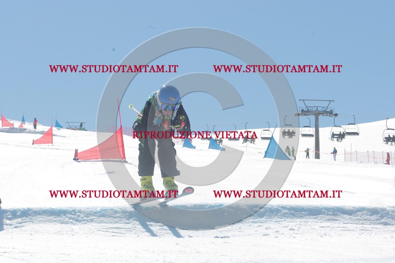 IMGB0797.JPG