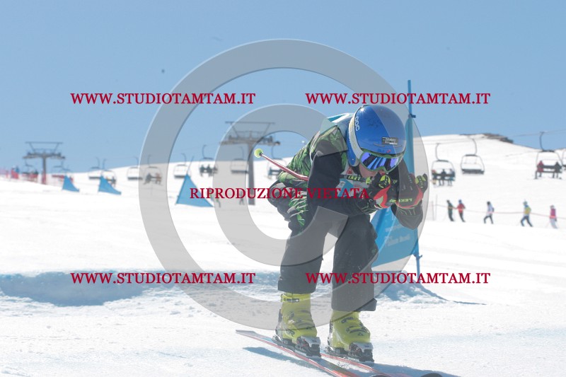 IMGB0800.JPG