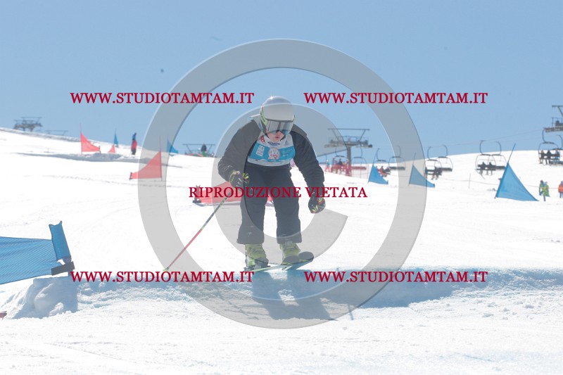 IMGB0806.JPG