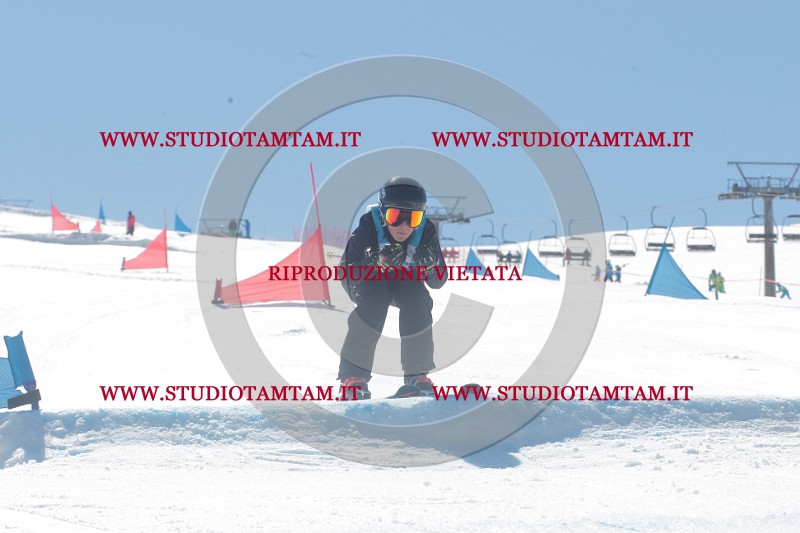 IMGB0814.JPG