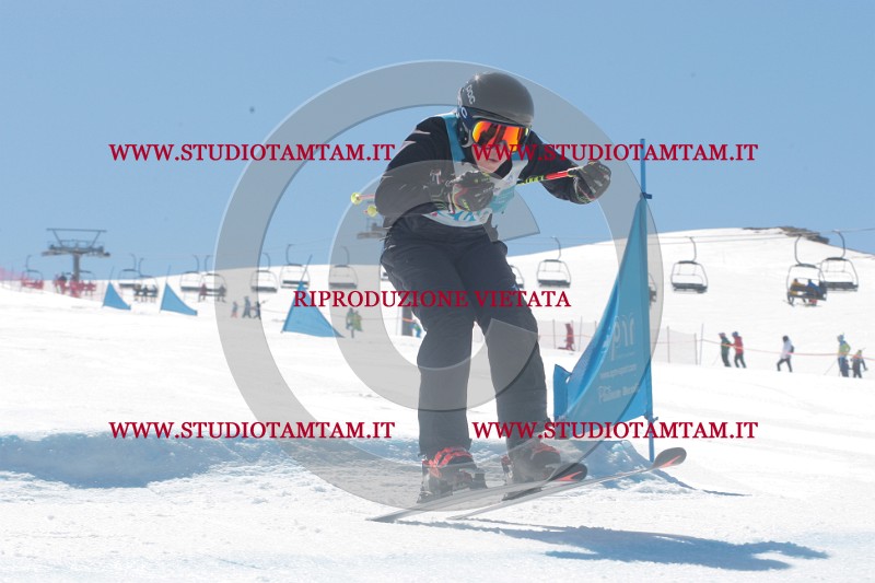 IMGB0817.JPG