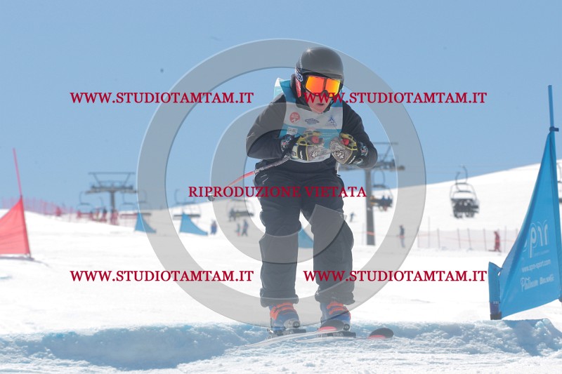 IMGB0825.JPG