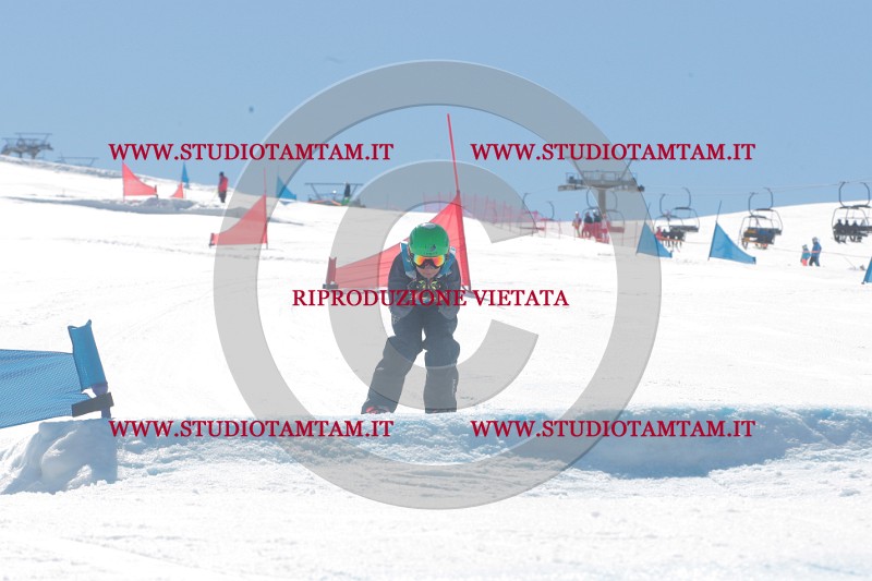 IMGB0830.JPG
