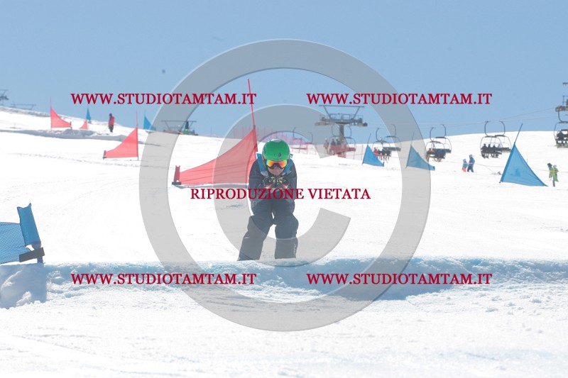 IMGB0831.JPG