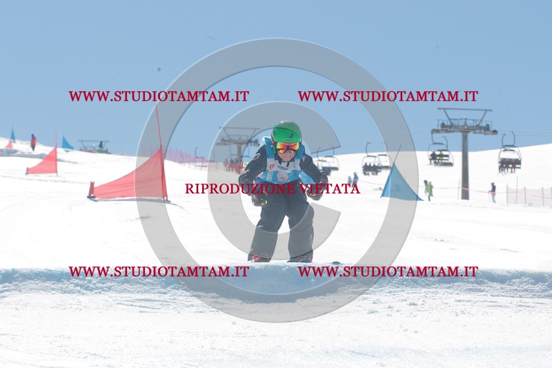 IMGB0833.JPG