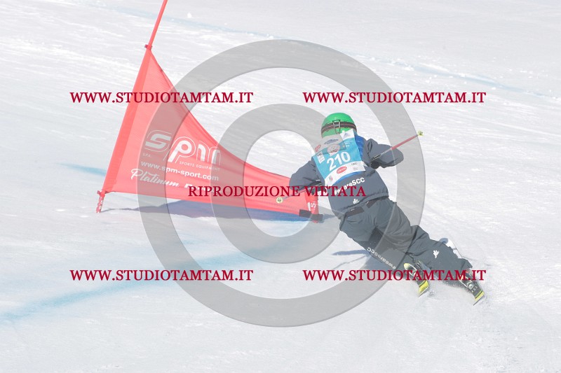 IMGB0837.JPG
