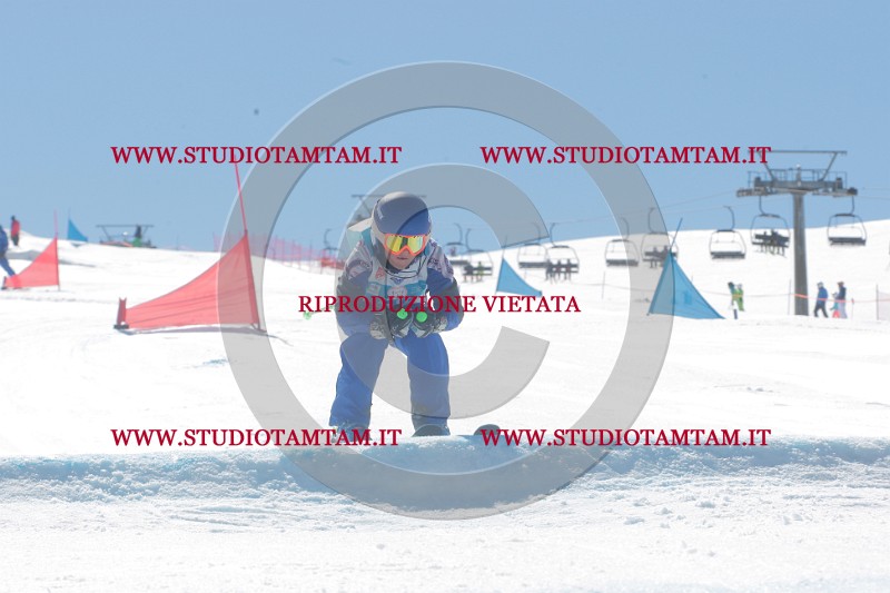 IMGB0841.JPG