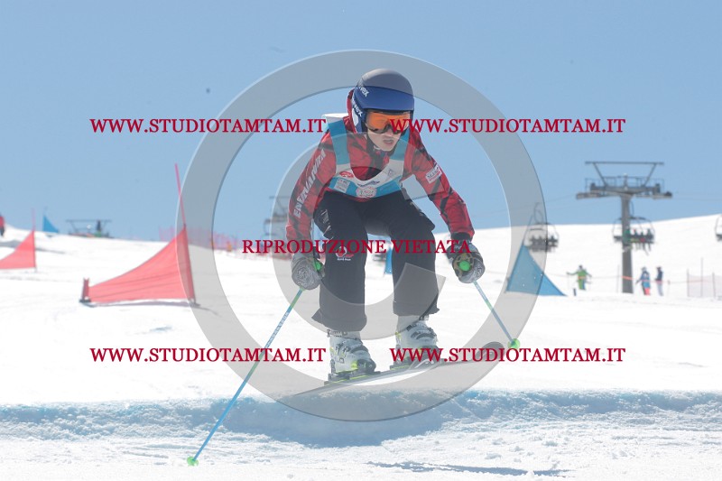 IMGB0850.JPG
