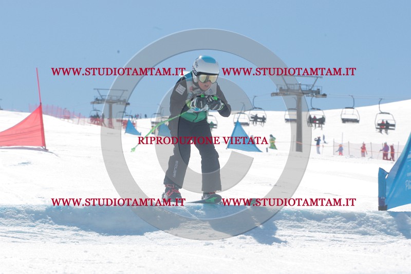 IMGB0856.JPG