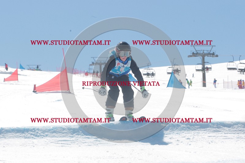 IMGB0872.JPG