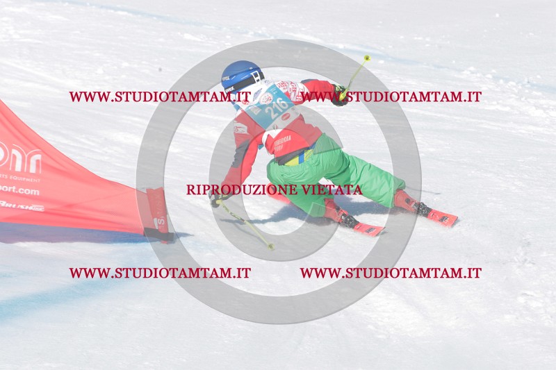 IMGB0886.JPG