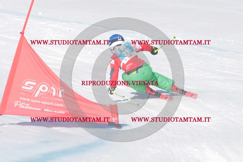 IMGB0887.JPG